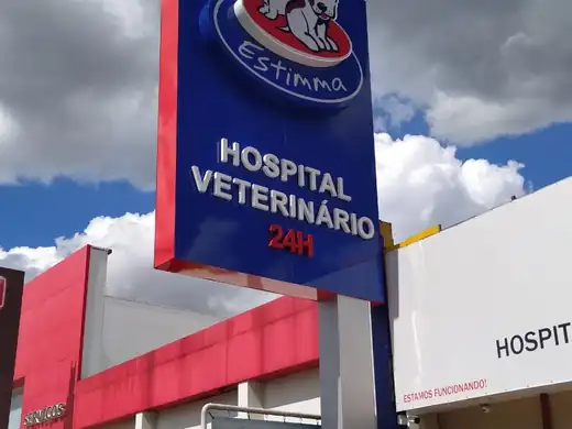 Totem luminoso — projeto Estimma Hospital Veterinário pela Focco Luminosos
